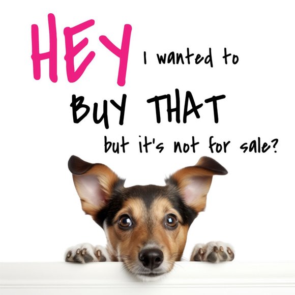 What’s with the Not For Sale? - Picture 1 of 1
